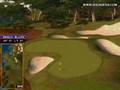 Golden Tee Great Shot on Cypress Cove!