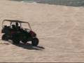 Teryx