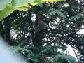 videos de MOV00020.MPG