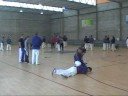 BASTON POLICIAL ELCHE