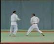 Goshin Jitsu (2º Parte)