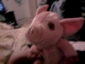 Piggy fez ;)