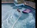 Aqua Dawg