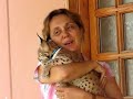 my wife and sheba and matis my wife and sheba and matis