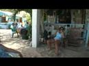 Xislandgirl on Palm Tree TV from St John VI USVI B VI Xislandgirl on Palm Tree TV from St John VI USVI B VI