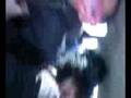 videos de en revenent du bar live