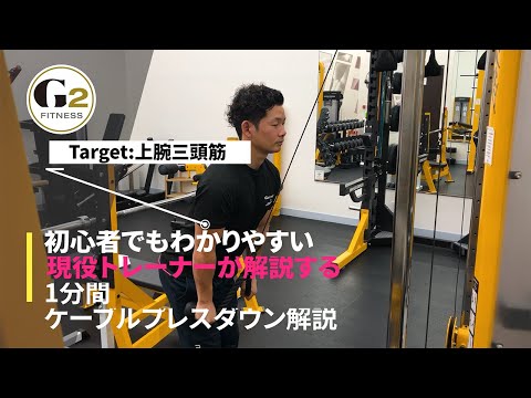 [編集者おすすめ三頭筋トレ]現役トレーナーがケーブルプレスダウンを1分間で解説