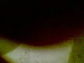 YONKY VIGO (Segunda parte 1/2)