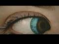 videos de Here/now Artscape: Uncommon Beauty