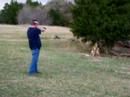shooting shooting