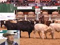 2008 NCHA Non-Pro Futurity 2008 NCHA Non-Pro Futurity