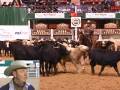 2008 NCHA Non-Pro Futurity