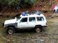 videos de Tellico Nov.15th, 2008