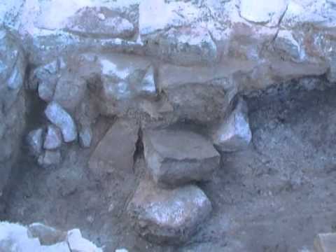 guarda il video