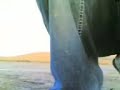 easy start multiplex nokia 6630 video inside airplane