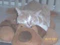 My baby boy Cuddles - Slideshow My baby boy Cuddles - Slideshow