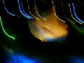 come-running-at-clubland-live-tour-2008-london.html