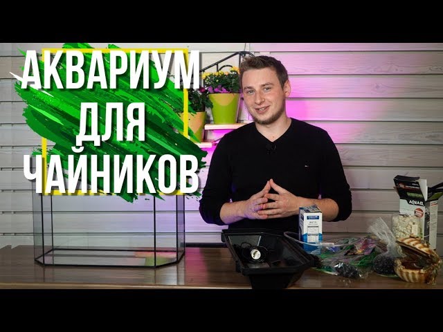 Аквариум Для Новичка ✔️ Что нужно купить Для Рыб ✔️ Советы От Garden-zoo