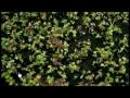 Proyecto Ecologia: Recursos Renovables y No Renovables