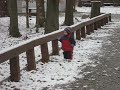 Liking this snow thing
