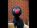 Grover Loves Tiny Choices! Grover Loves Tiny Choices!