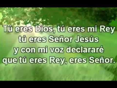 VEN SEÑOR COMO DIJISTE