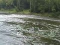Shenandoah River 2008