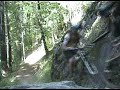 Downieville mountain bike ride