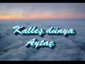 Romanlardan Aydin S�keli Aytac  tan Kalles d�nya