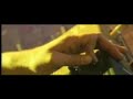 Push-Live-Universal-
