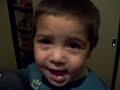 barney el dinosaurio (barney the dinosaur) barney el dinosaurio (barney the dinosaur)