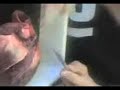 dissection coeur dissection coeur