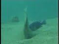 A Visit to Malawi Lake (Africa)