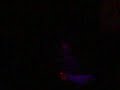 Total Eclipse of The Heart - Emanuele Pugi