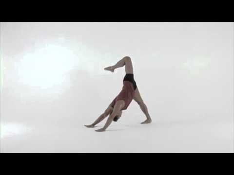 James D'Silva Garuda Yoga Pilates DVD amAya Music