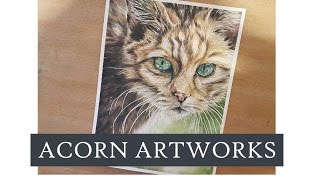 Cat with Inktense "Quick View"