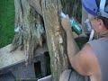 Carve a tree spirit
