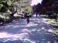 ForoMTB-entre veredas-cercedilla6