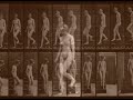 EADWEARD MUYBRIDGE