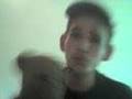 Dulls Serafinocover sharewareversion
