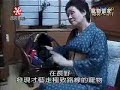 Funny Pet