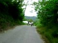 MTB STA ANA PAMP RIDER VILLA MARIA9.AVI