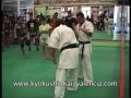 Honbu Dojo Valencia Karate Kyokushin Instructional- Middle Kick -