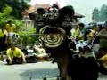 lin nam lion dance [???????????]