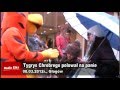 Tygrys polował na panie :: Tygrys polował na panie