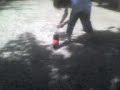 coca cola menthos