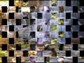 Conway Twitty - 15 Years Ago.wmv