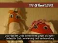 videos de Weihnachts-MÄRCHEN: Solidarität mit den Kamelen!