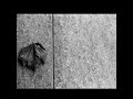 veritasaga-nu-se-asculta-se-simte.html