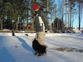 090107 mera apportering